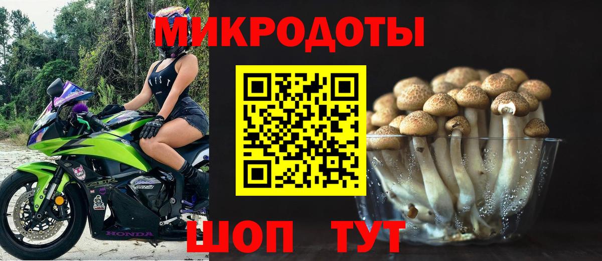 Галлюциногенные грибы прущие грибы Альметьевск