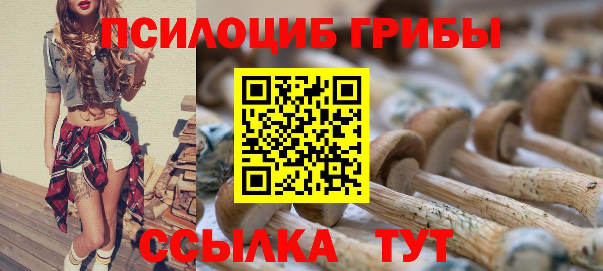 Псилоцибиновые грибы MAGIC MUSHROOMS  Галлюциногенные грибы мицелий  Вход с VPN  Альметьевск 